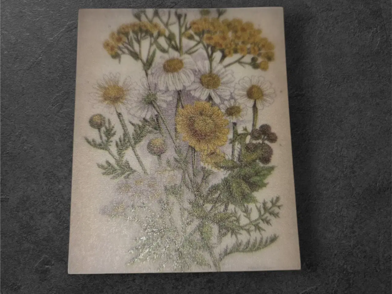 Billede 1 - Botanisk Illustration – Naturens ynde i miniature