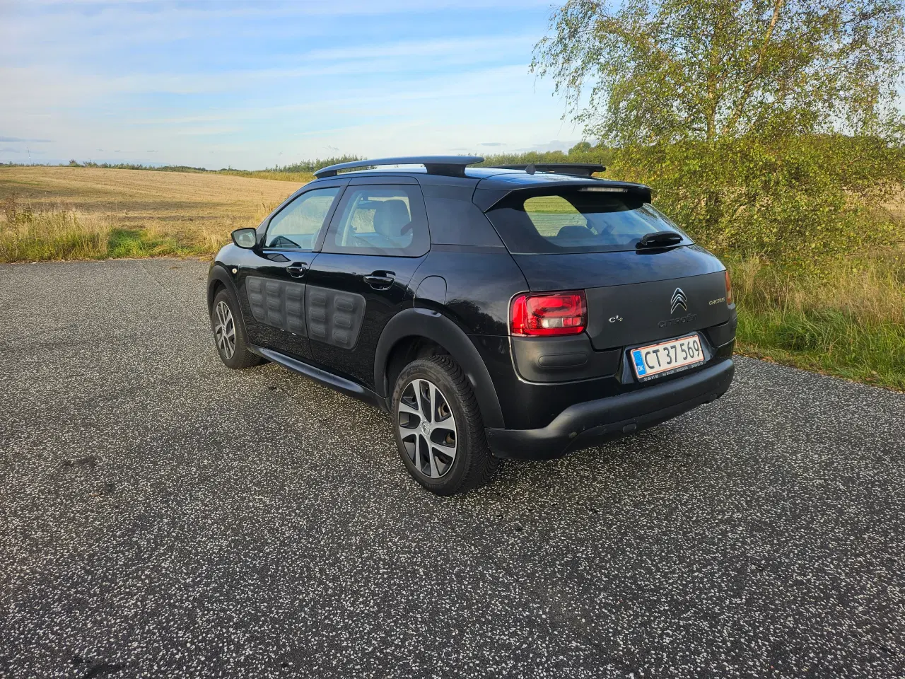 Billede 4 - Citroen c4 cactus 1.6 bluehdi 160 kr 6 md