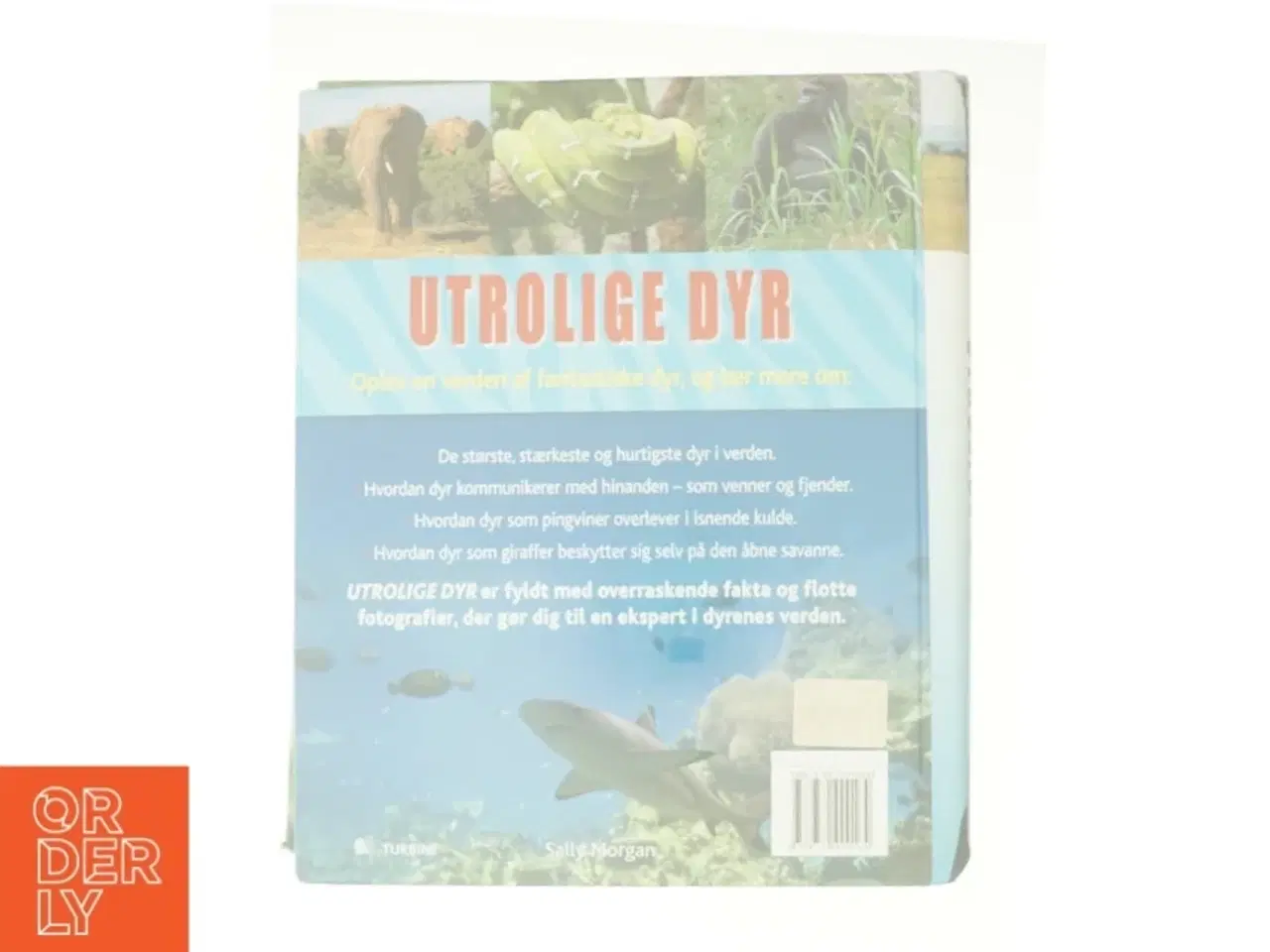 Billede 2 - Utrolige dyr (Bog)