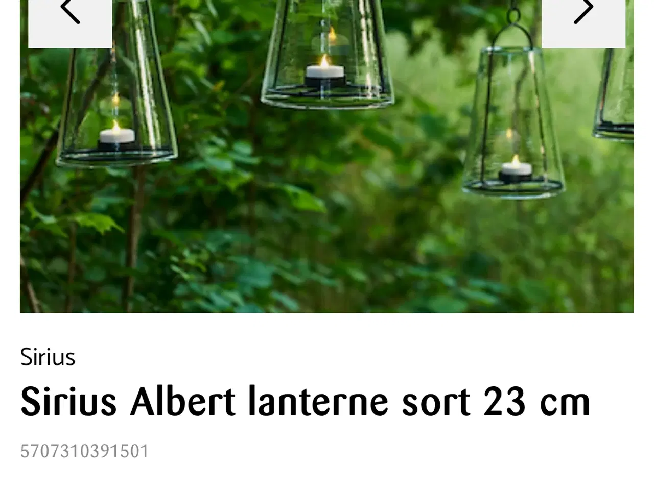 Billede 2 - Sirius Albert Lanterne