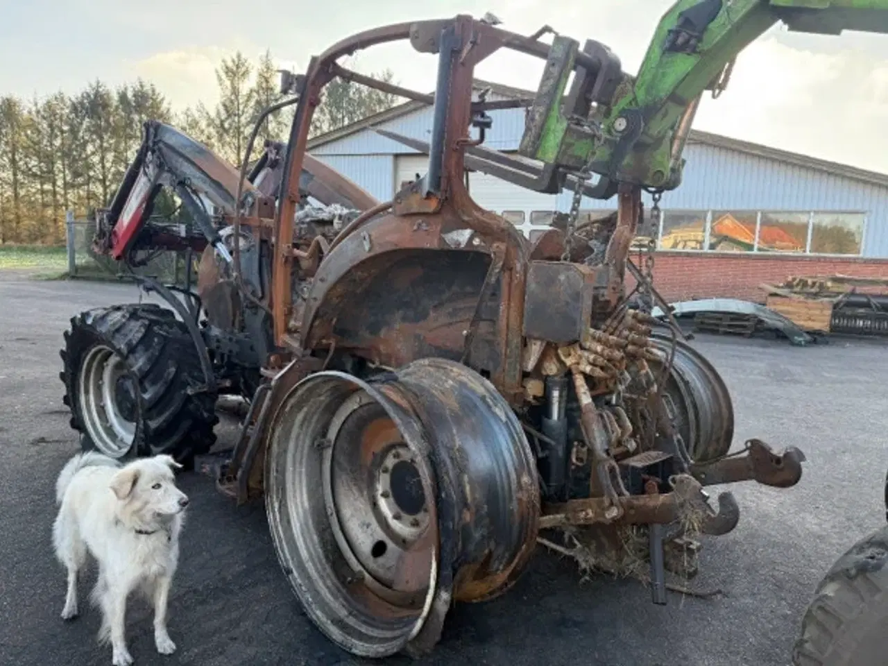 Billede 6 - Case Maxxum 150 (Sælges i dele/For parts)