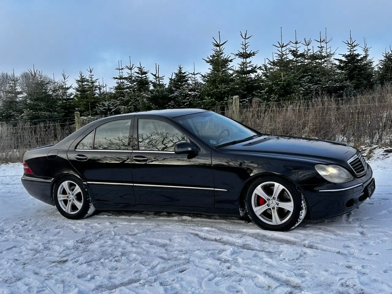 Billede 2 - Mercedes-Benz S320 CDI – W220 (2002)