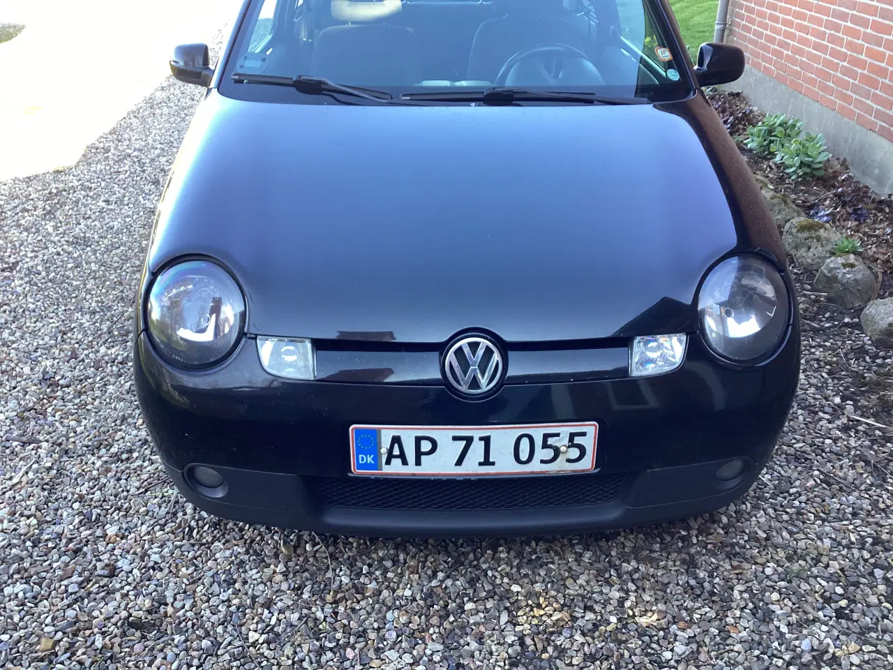 Billede 1 - Lupo med servo 