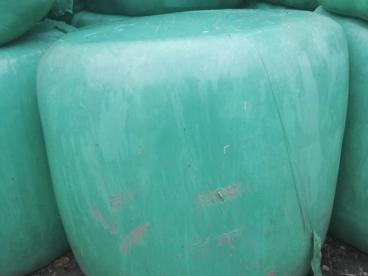 Billede 1 - Wrap Rajgræs 