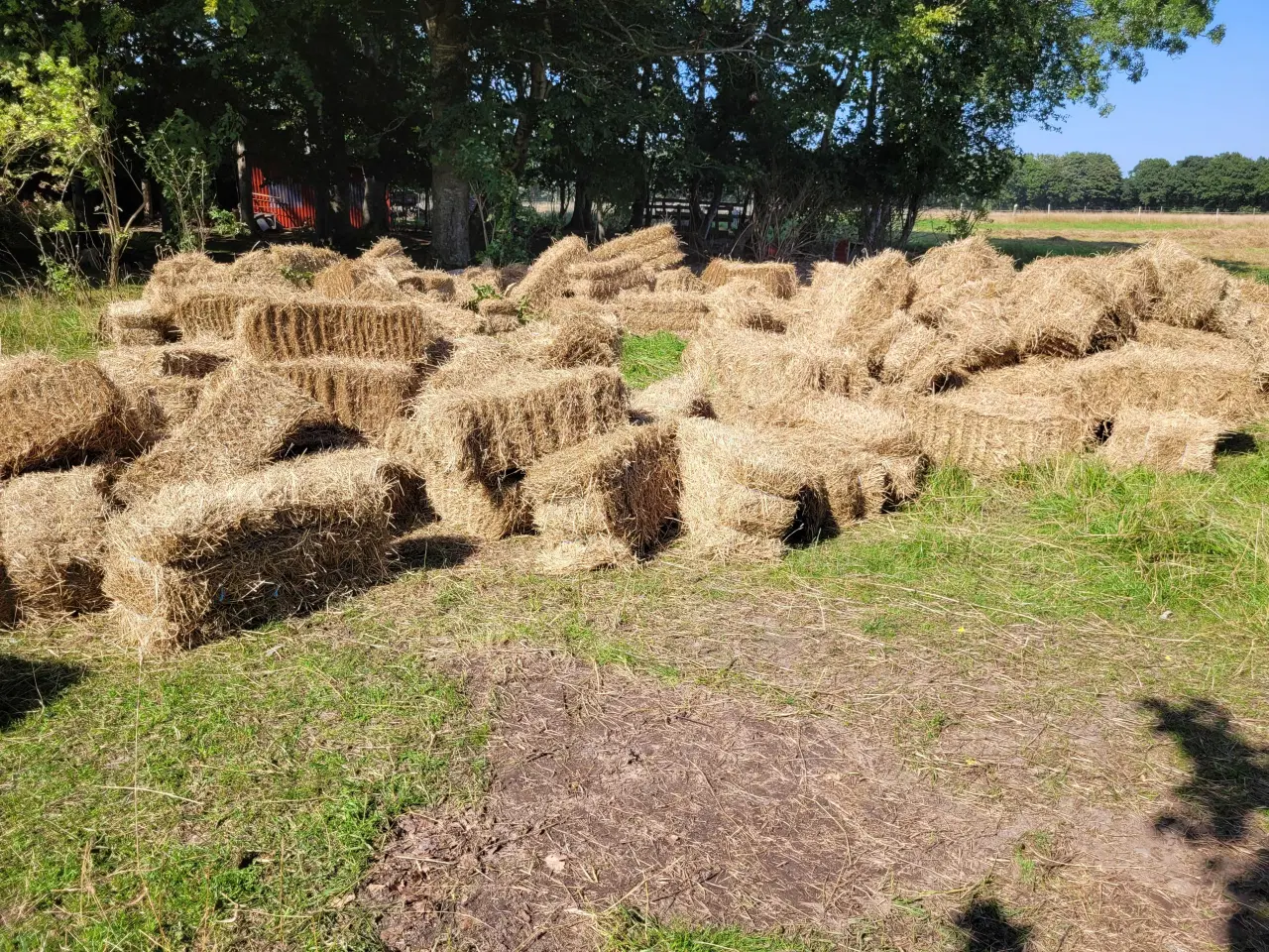 Billede 1 - Hø I Morten Korch små baller
