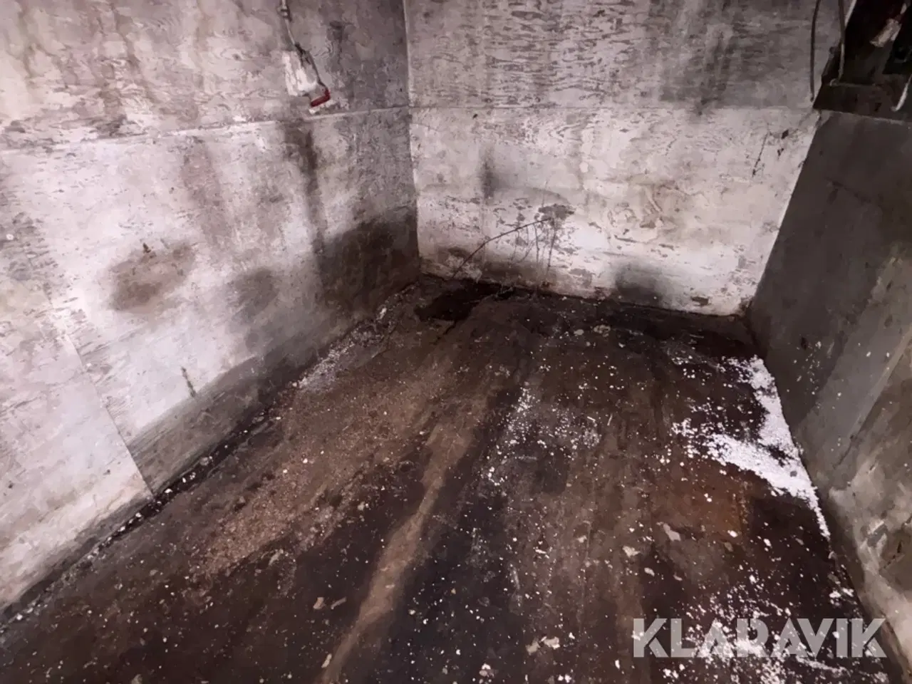 Billede 7 - Container 40 fods