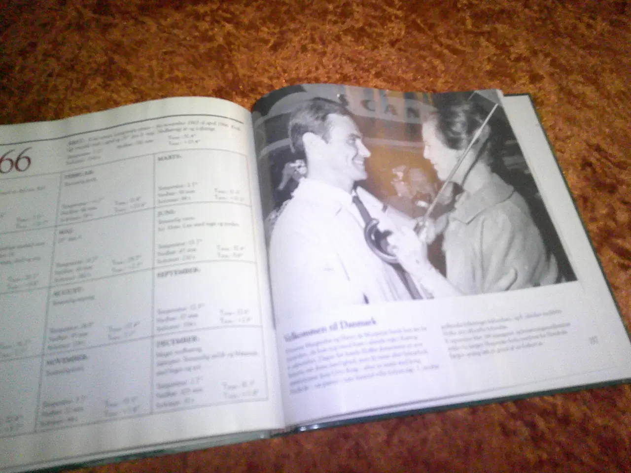 Billede 3 - Dansk vejr i 100 år i tekst og billeder