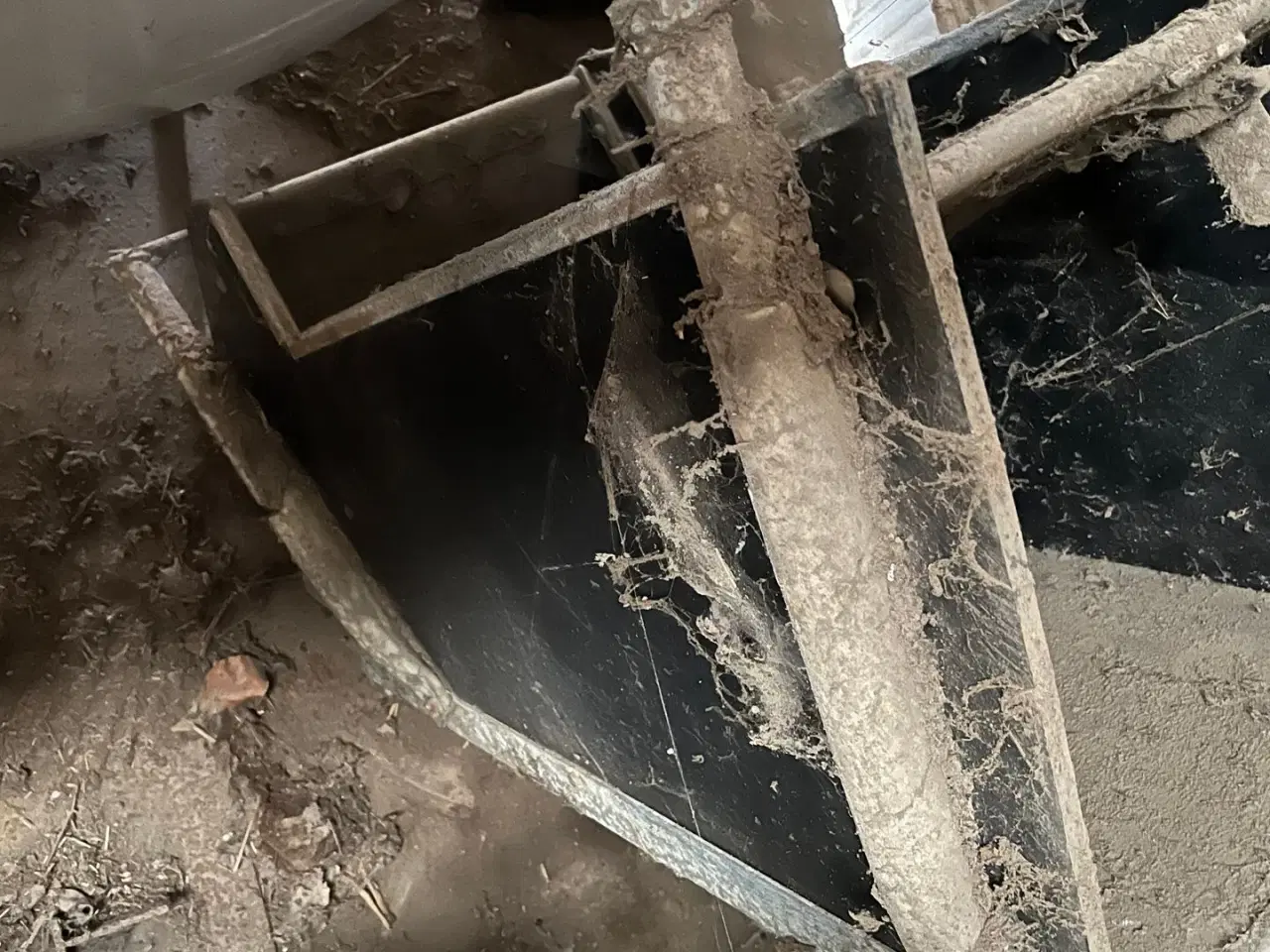 Billede 7 - - - - til kvæg