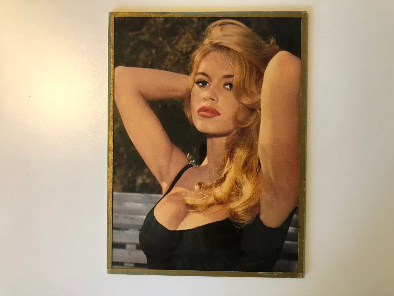 Billede 2 - Billede af Brigitte Bardot