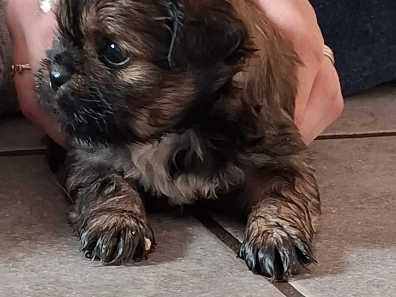 Billede 10 - Lækre uldtotter 