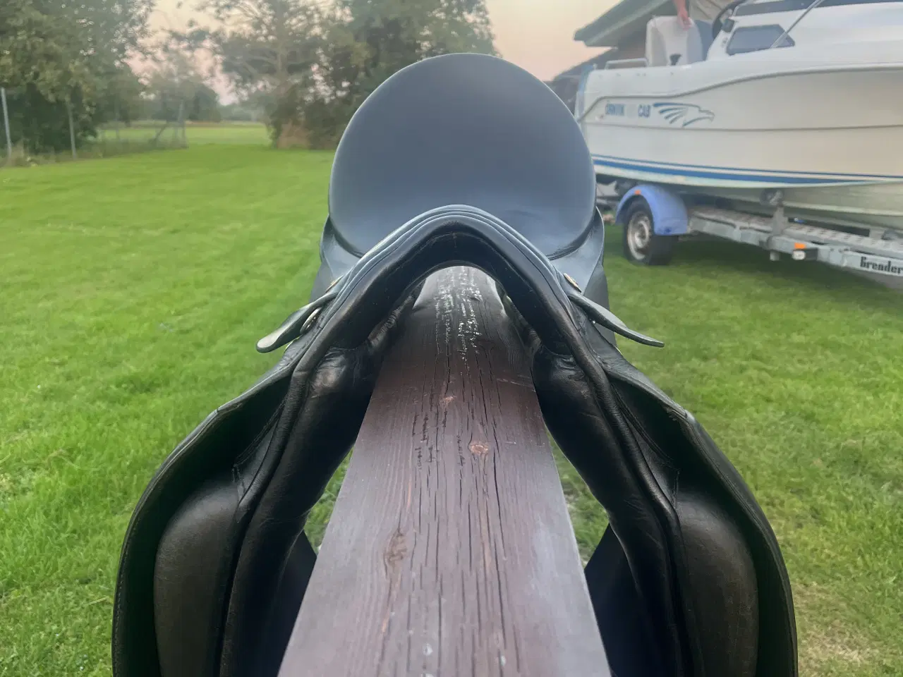 Billede 3 - Sommer Diplomat Exclusive sadel sælges