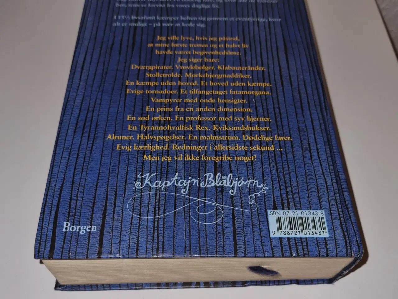 Billede 7 - Walter Moers - Kaptajn Blåbjørns 13 1/2 liv