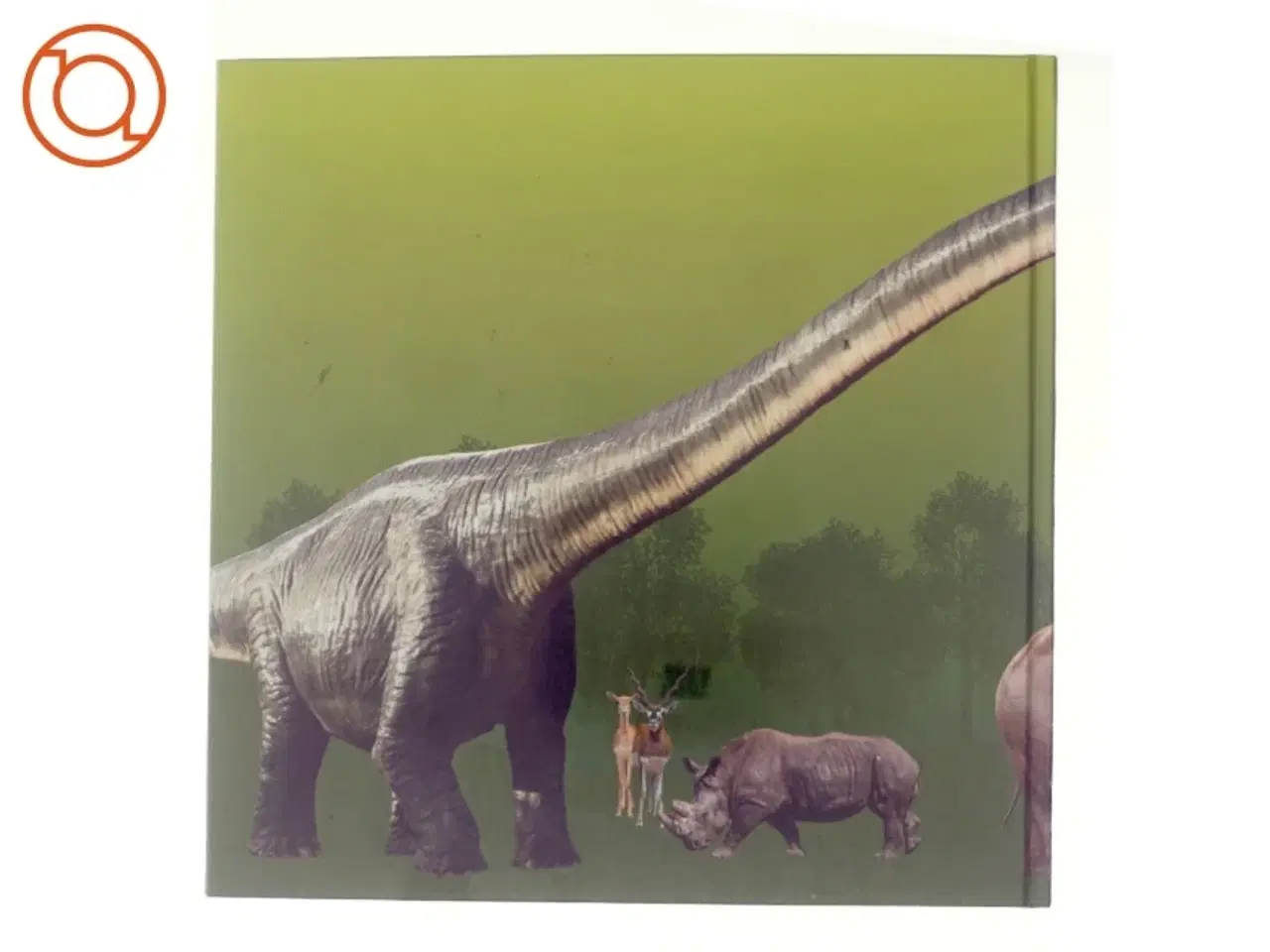 Billede 3 - Vild med dyr, zoo