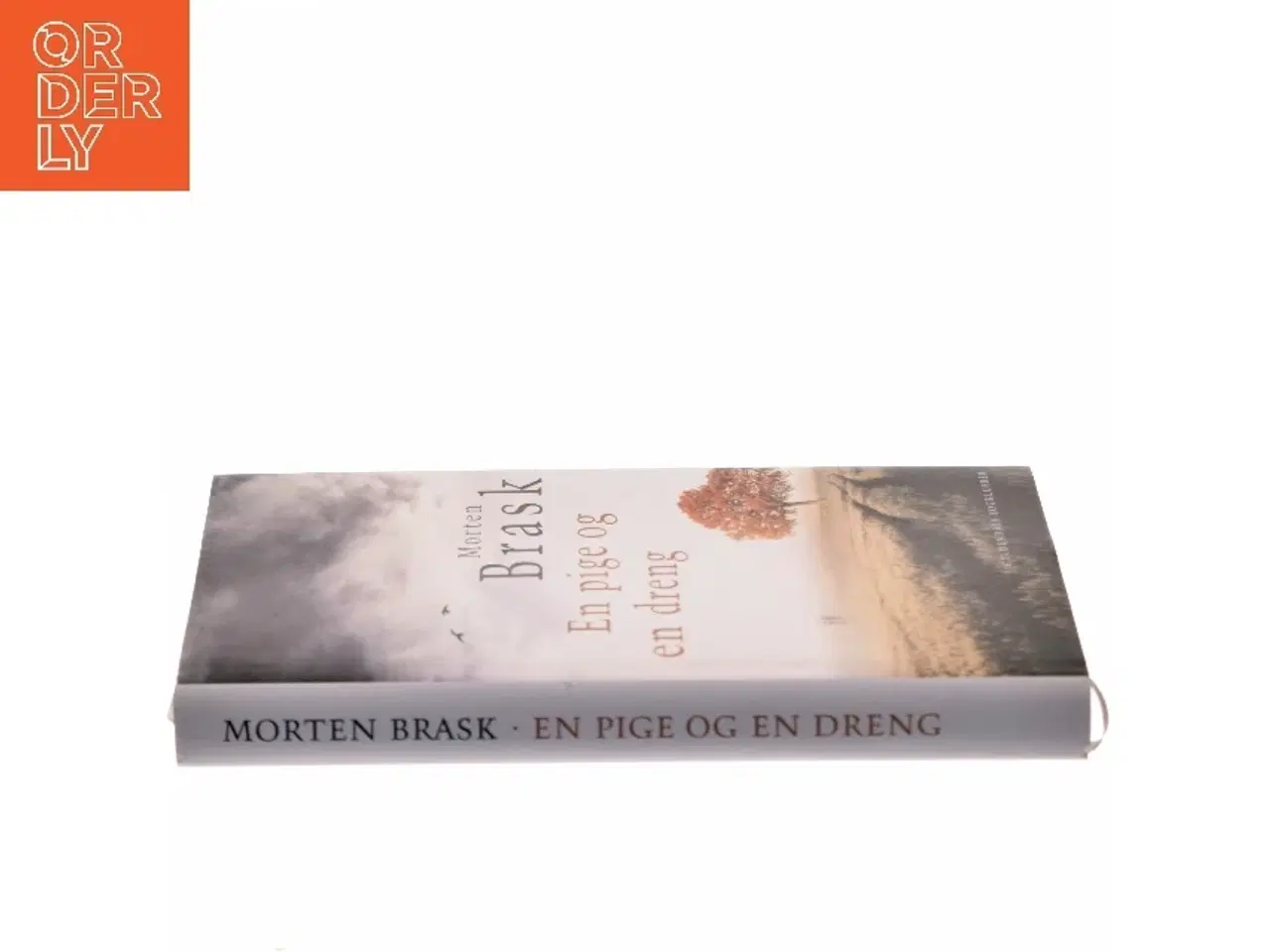 Billede 2 - En pige og en dreng af Morten Brask (Bog)