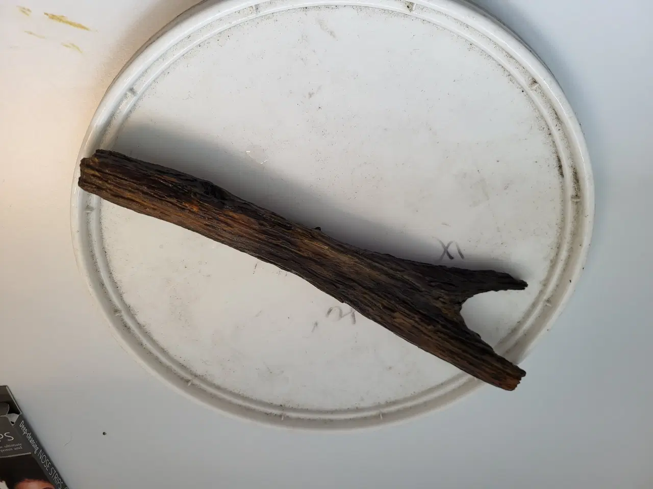 Billede 4 - Planter 3 stk. Lange og flyde planter  plus 10 stk