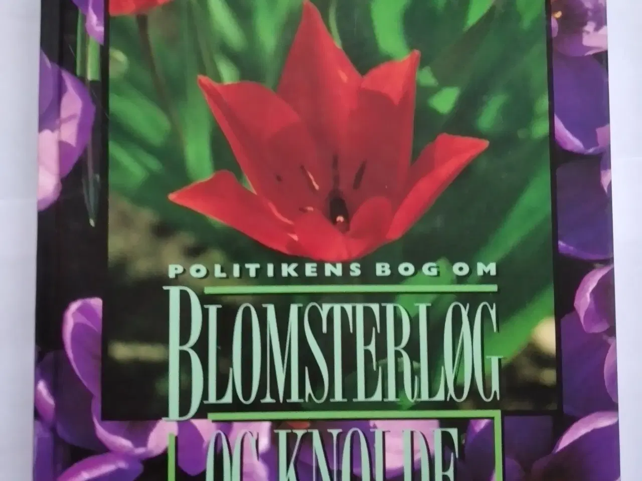 Billede 1 - Politikens - Blomsterløg og Knolde.