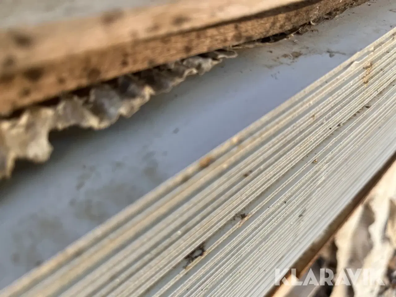 Billede 4 - Facadeplaneler Stacbond 1 Palle 60 styk