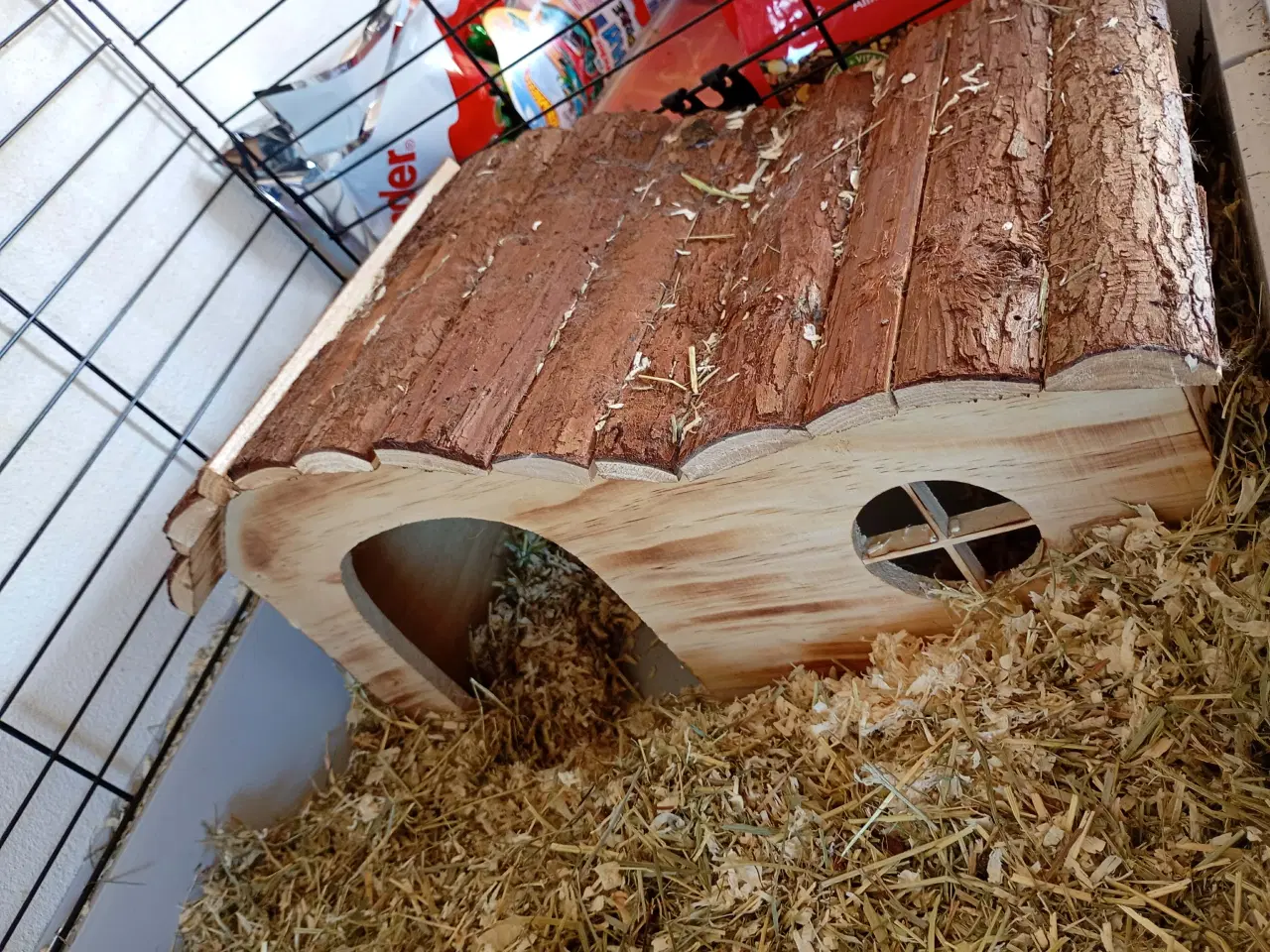 Billede 6 - 2 stk unge hunner med bur 