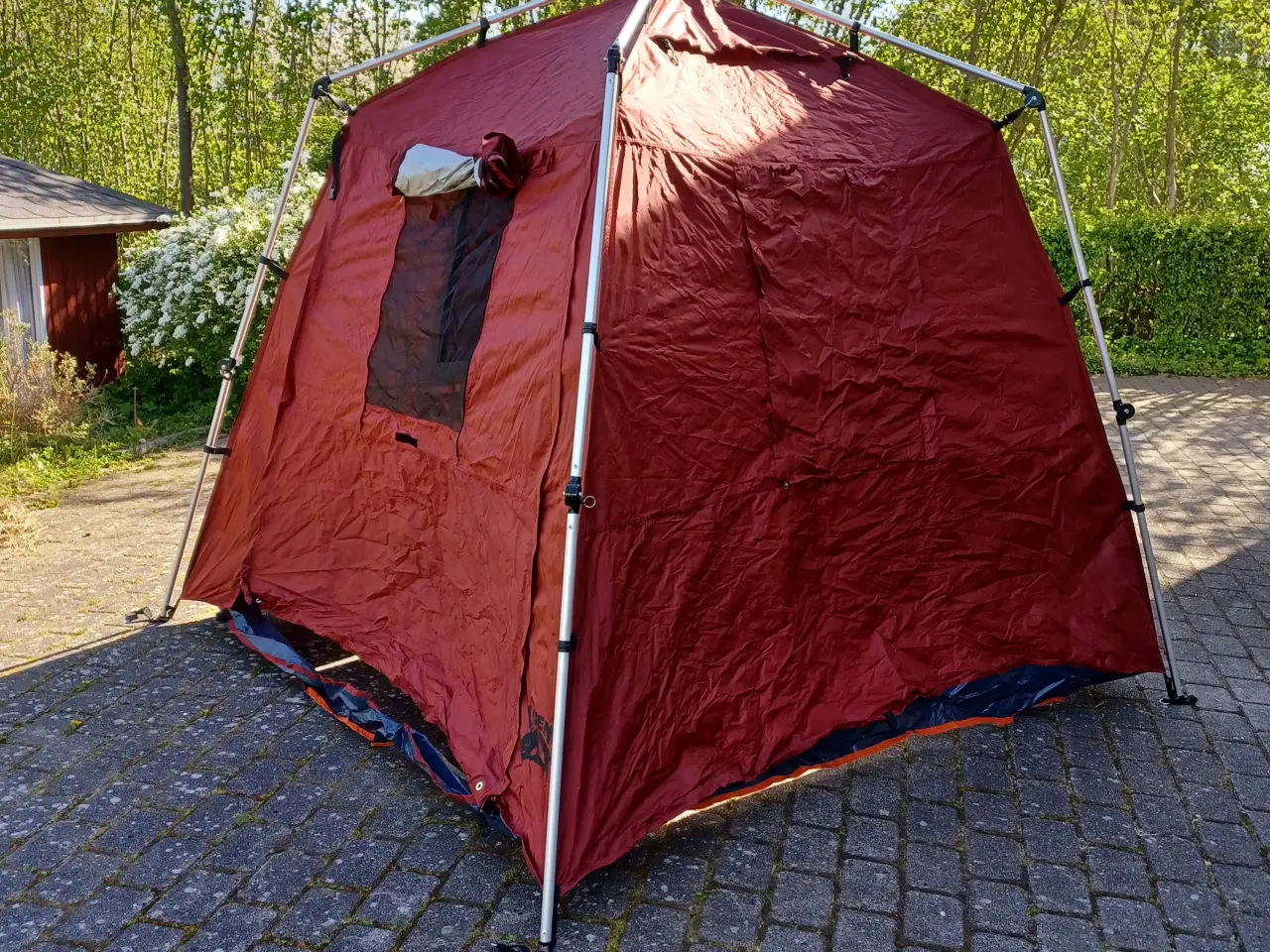 Billede 1 - Udstillingstelt (Hundeudstilling)
