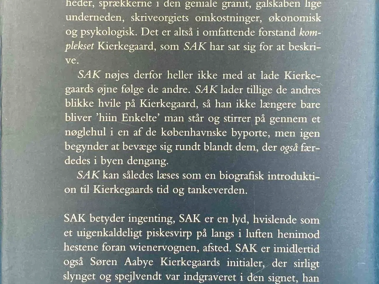 Billede 9 - SAK Søren Aabye Kierkegaard - Joakim Garff