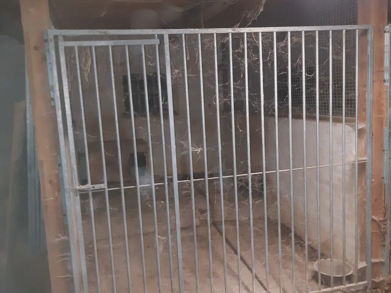 Billede 1 - hundegårdshegn