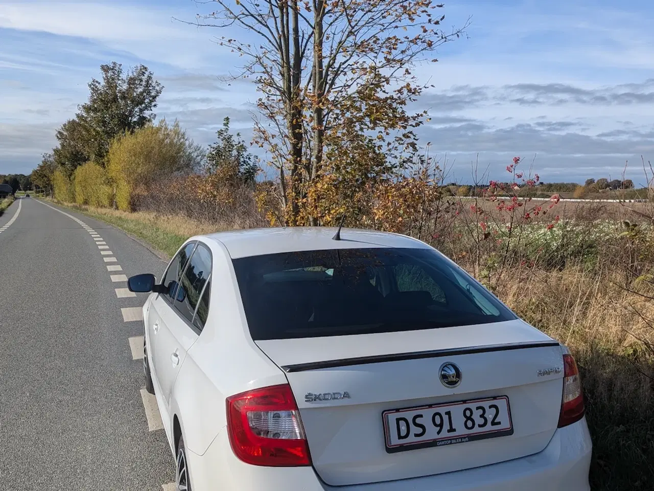 Billede 5 - NYSYNET! Skoda Rapid