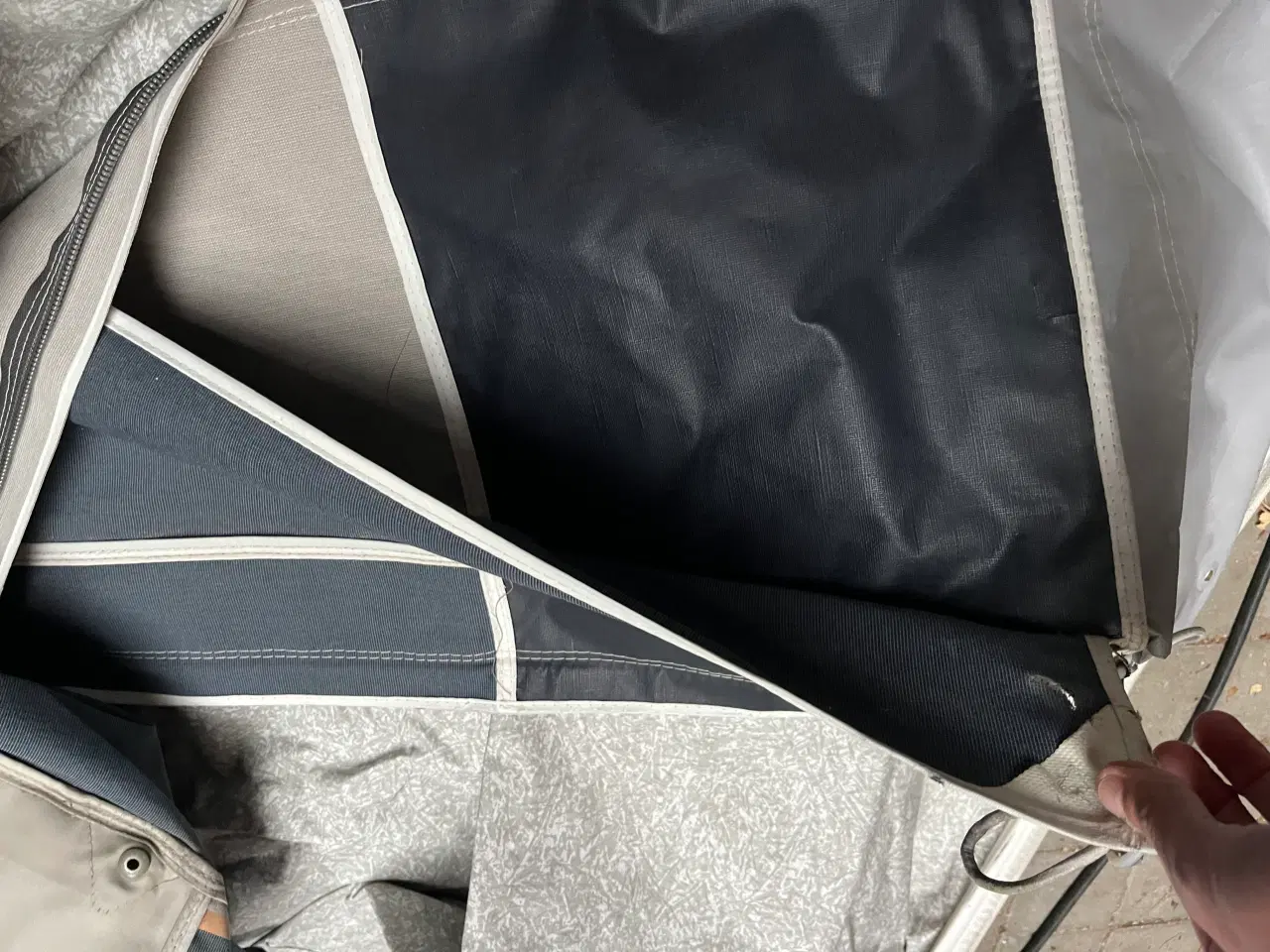 Billede 16 - Isabella Commodore Alpha