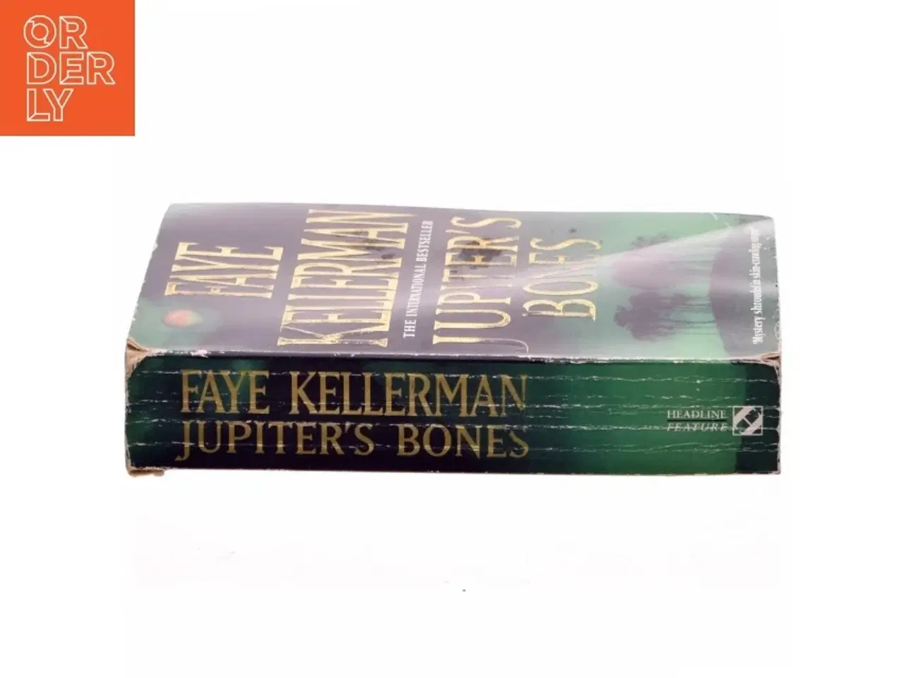Billede 2 - Jupiter&#39;s bones af Faye Kellerman (Bog)