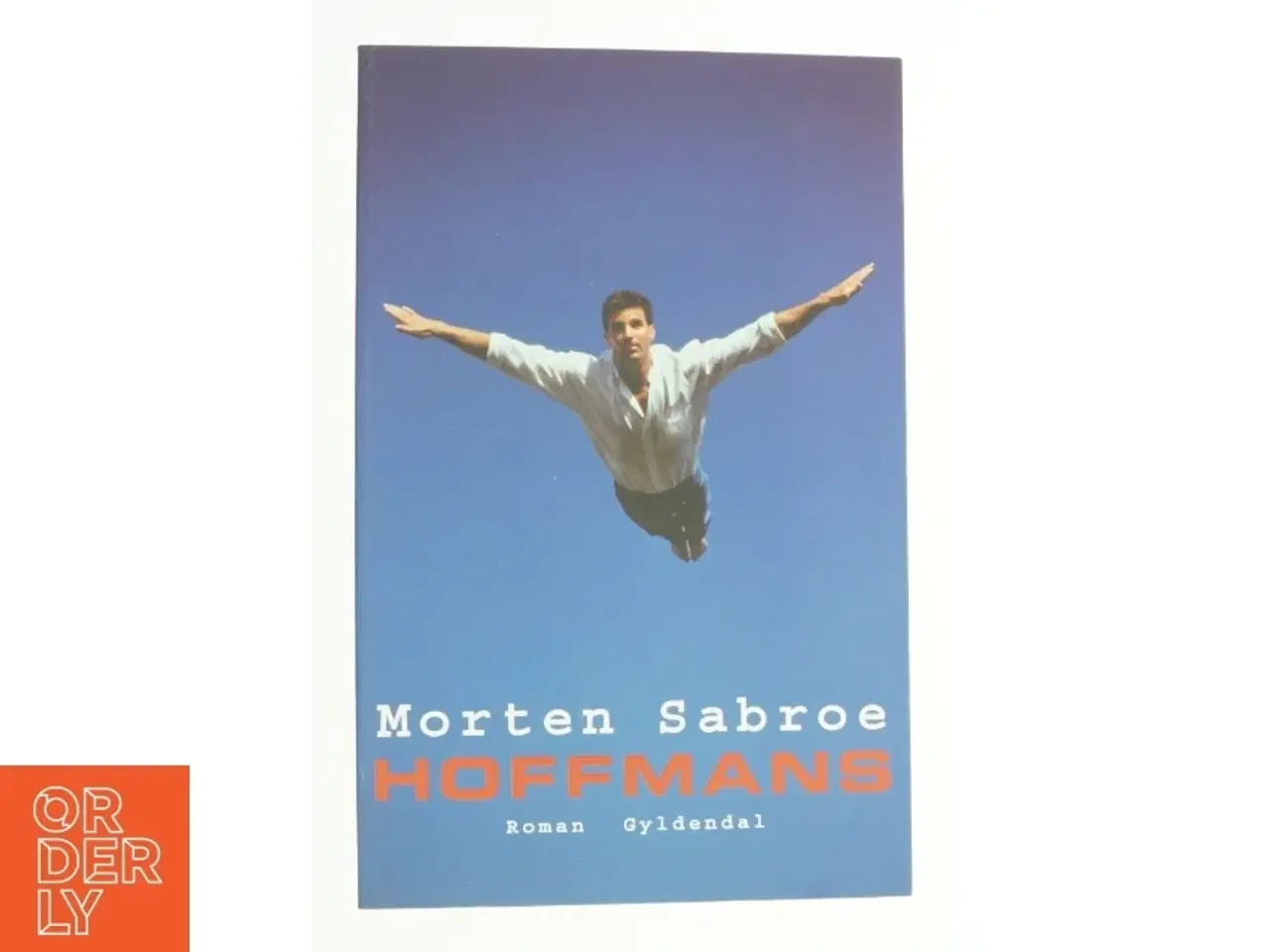 Billede 1 - Hoffmans : roman af Morten Sabroe (Bog)
