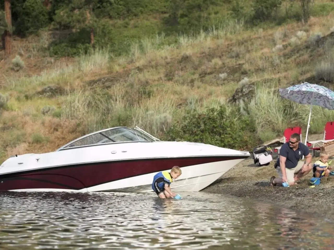 Billede 5 - Campion 595iSC Allante