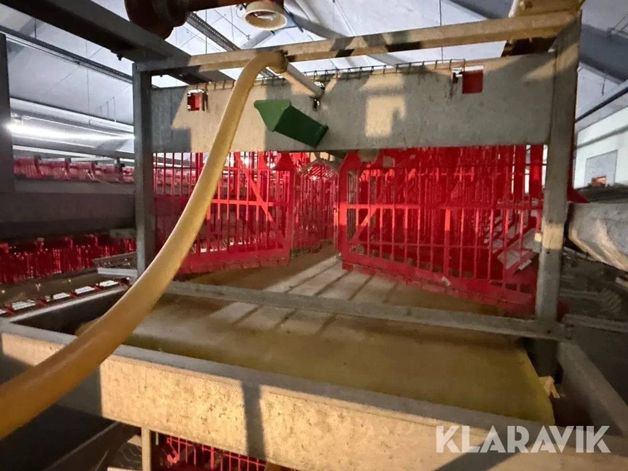 Billede 6 - Produktionslinje Landmeco æglægger system