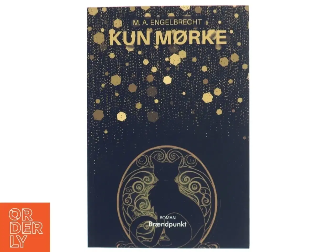 Billede 1 - Kun mørke : roman af M. A. Engelbrecht (f. 1993) (Bog)