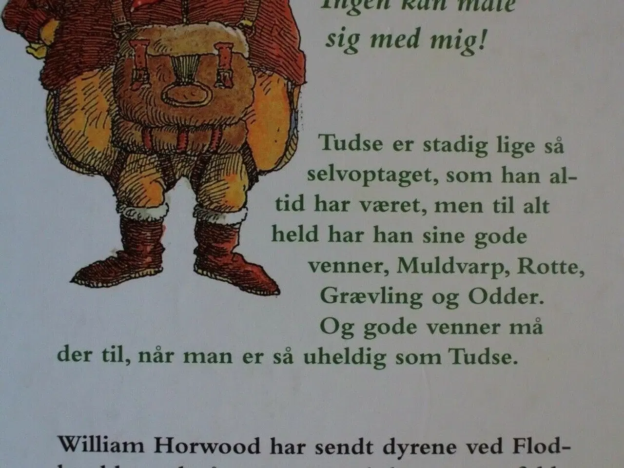 Billede 2 - vinter i piletræerne, af william horwood. ill. af 
