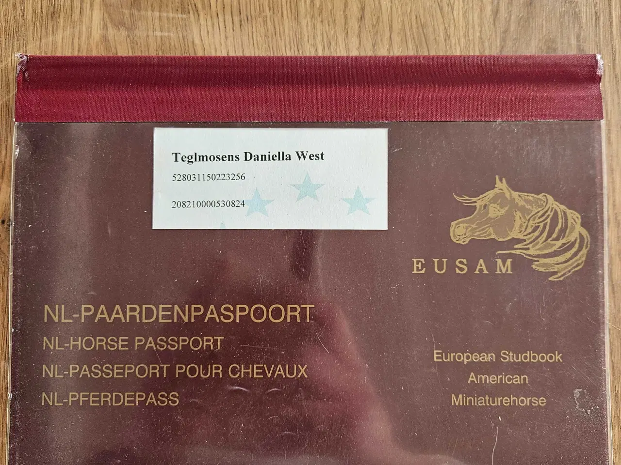 Billede 5 - Kåret AMHA Hoppe 