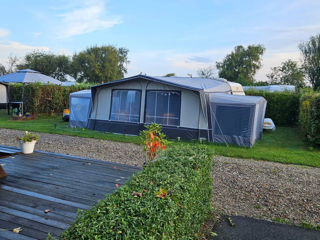 Billede 1 - 3 år Amål900 m/2 kanaper