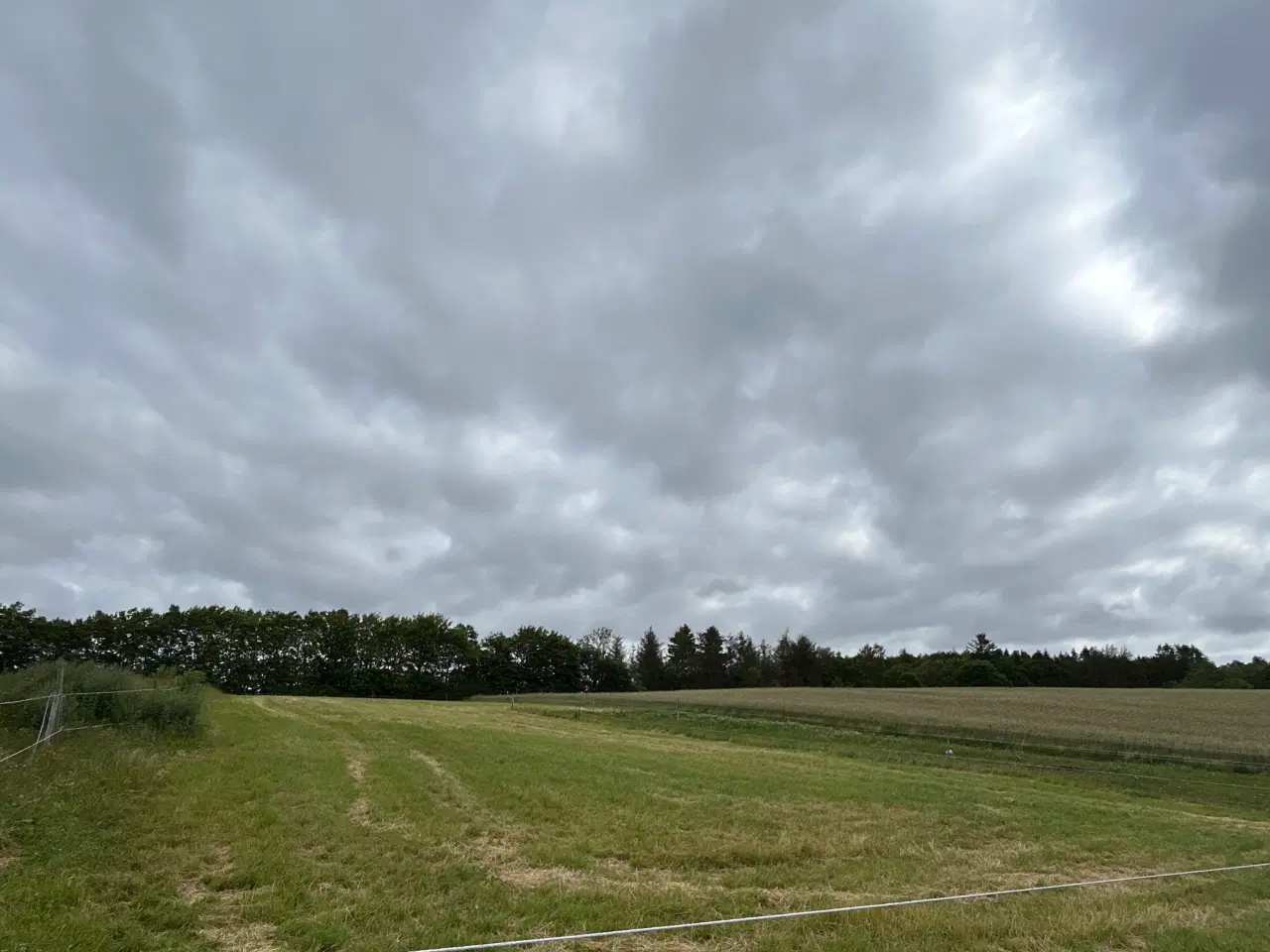 Billede 1 - Opstaldning fuldpas Astrup