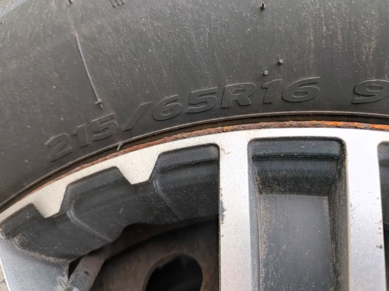 Billede 3 - Nye vinterdæk til Renault 