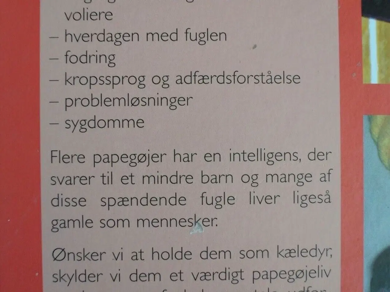 Billede 2 - tamme papegøjer - fra undulater til araer. valg, k