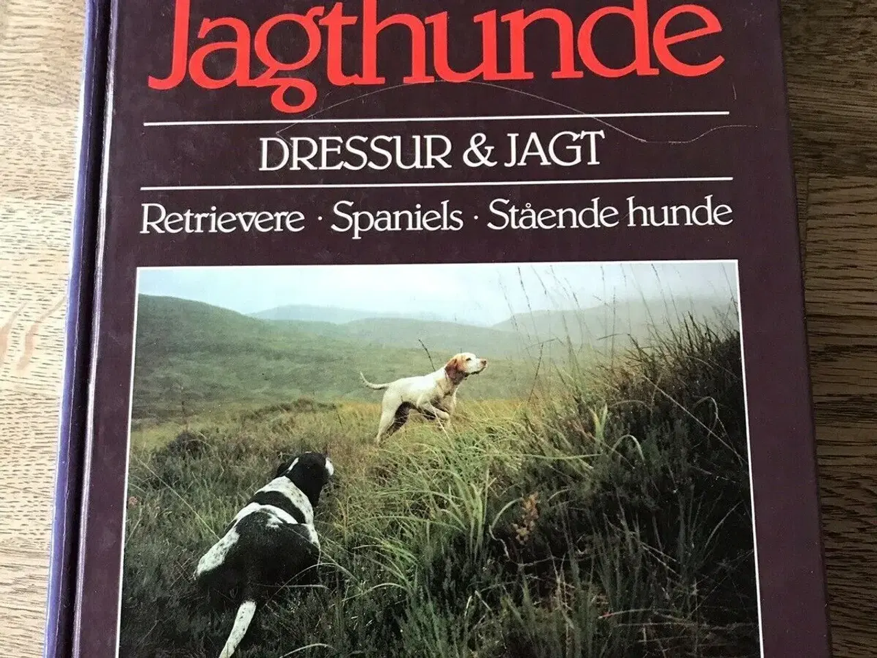Billede 1 - Jagthunde - dressur og jagt, Sten Christoffersson