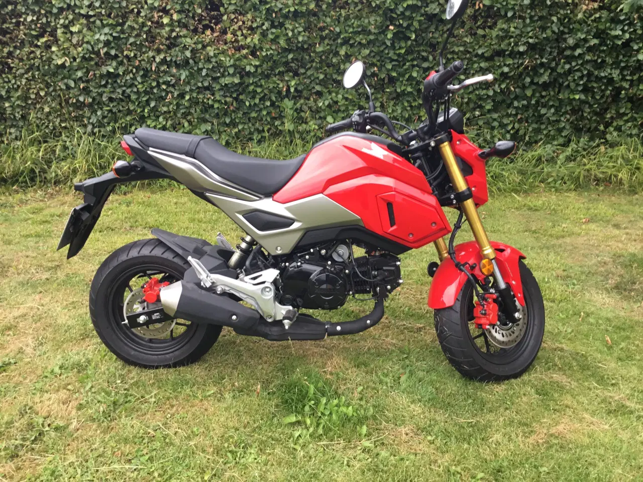 Billede 5 - Honda Grom 125