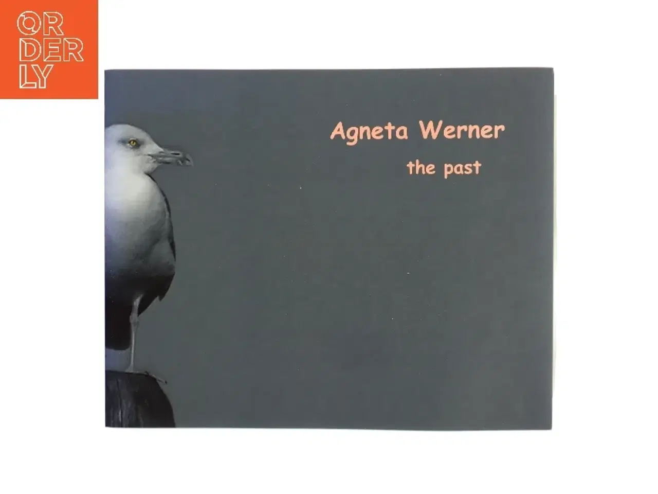 Billede 1 - The Past af Agneta Werner (Bog)