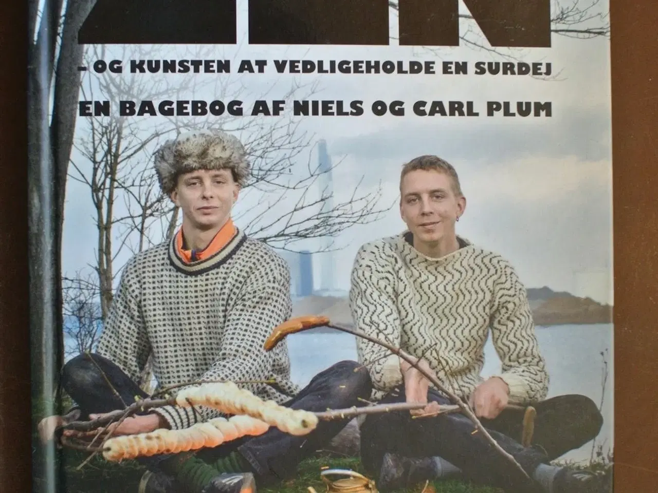 Billede 1 - zen - og kunsten at vedligeholde en surdej , af ni