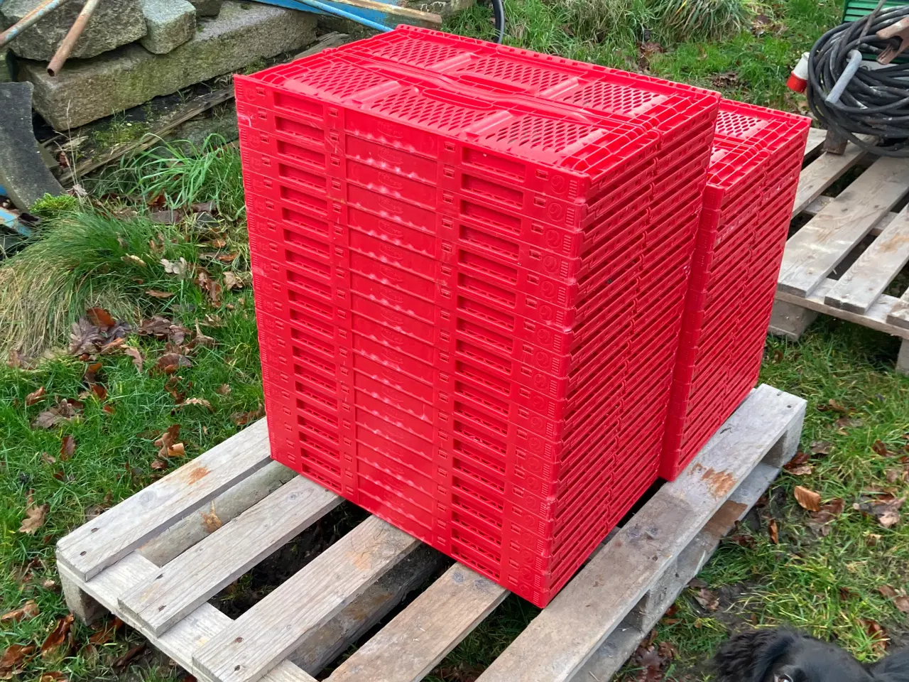 Billede 2 - Lagerkasser/opbevaringskasser/foldekasser