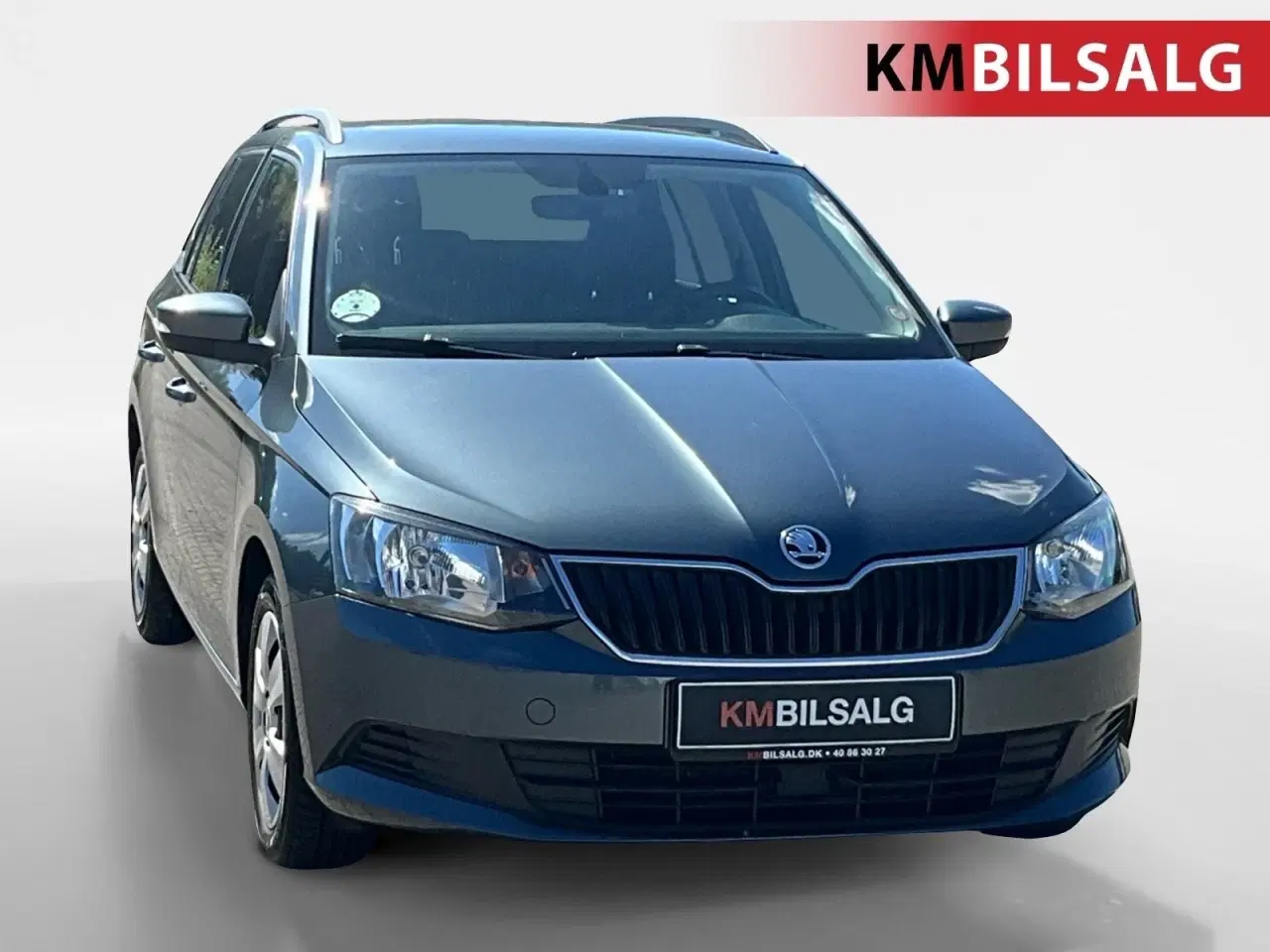 Billede 1 - Skoda Fabia 1,2 TSi 90 Ambition Combi