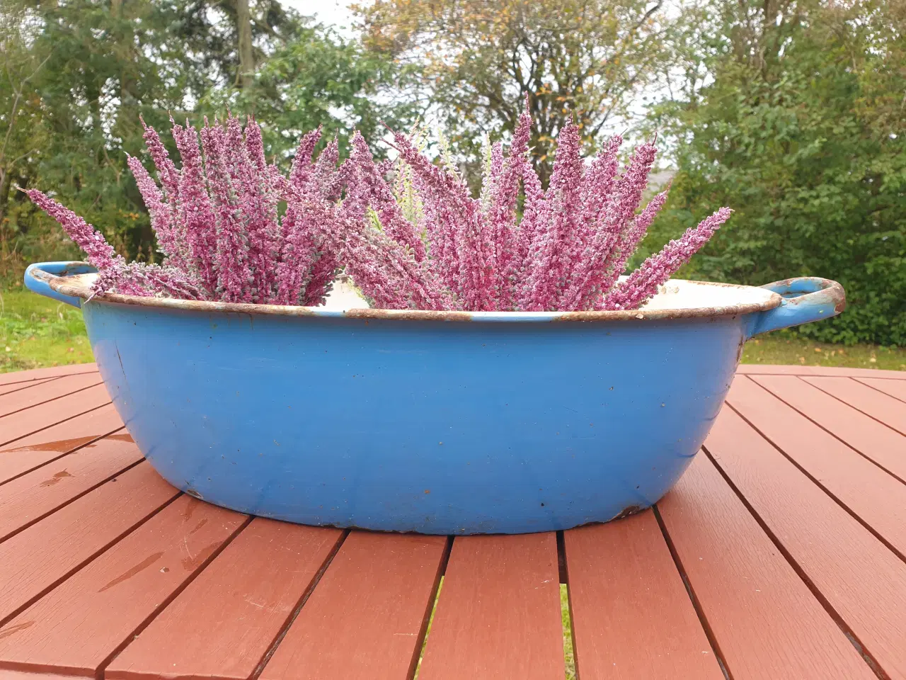 Billede 2 - Forår! Plant i disse gamle emaljerede kar, kander