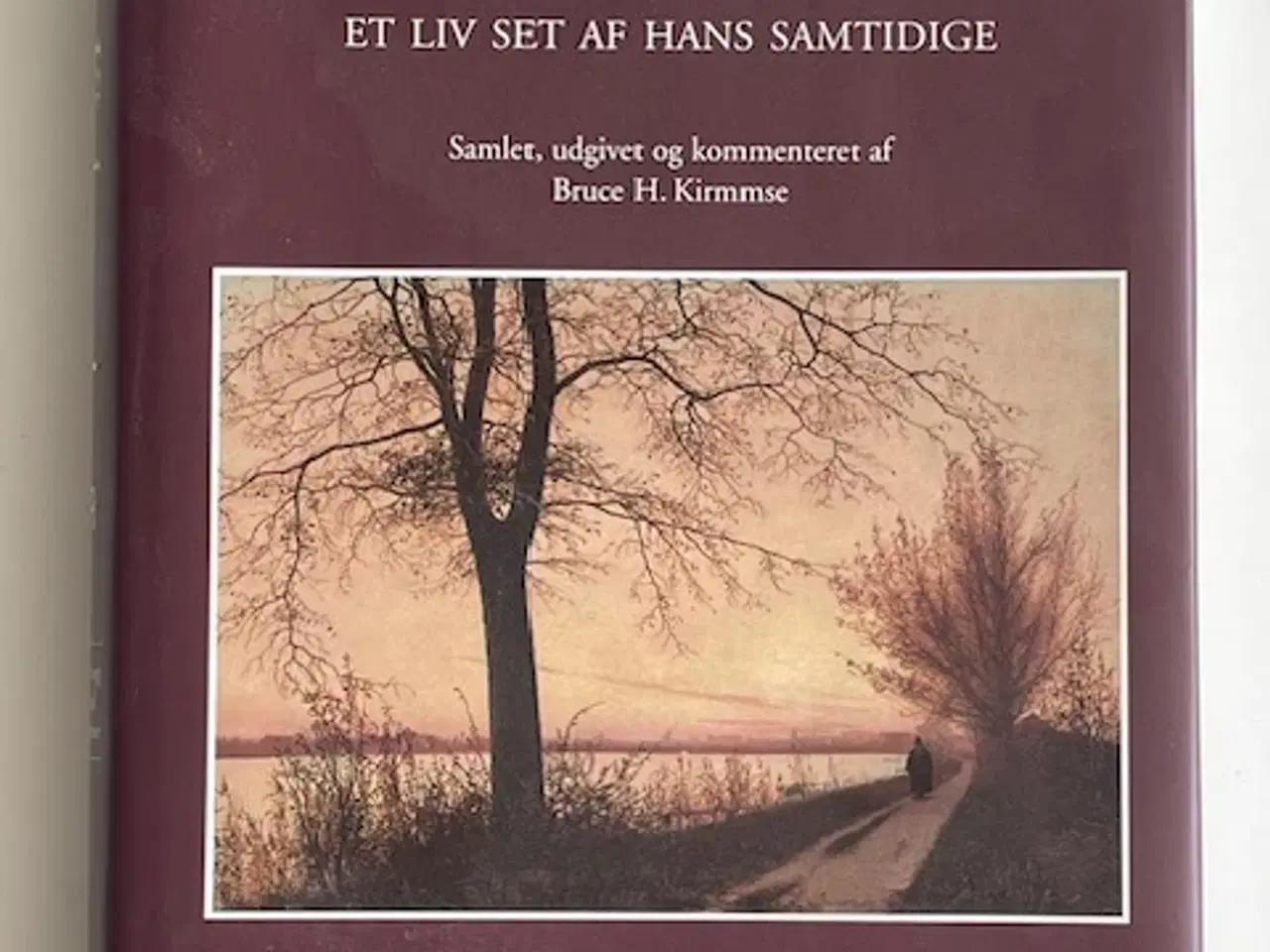 Billede 1 - Søren Kierkegaard truffet 