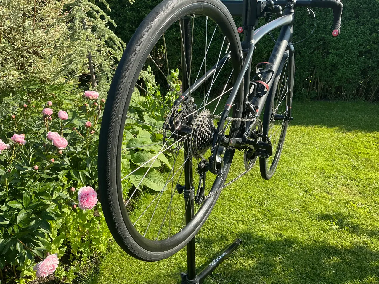 Billede 6 - Racercykel SPECIALIZED 51 cm