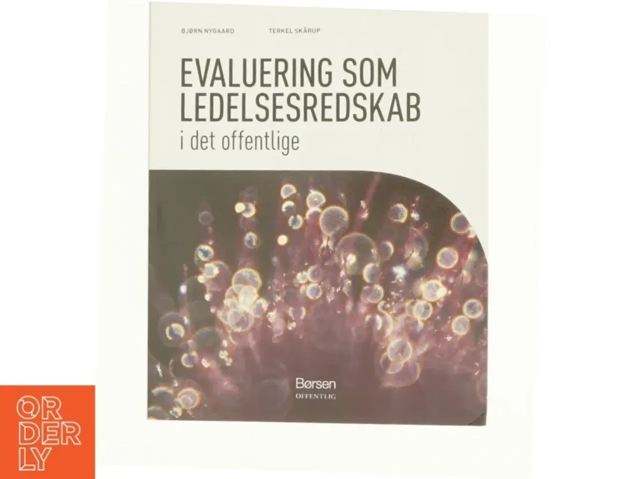 Billede 1 - Evaluering som ledelsesredskab i det offentlige (Bog)