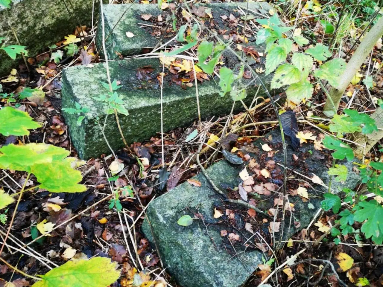 Billede 3 - Granitsten – ægte massiv granit, perfekt til have 