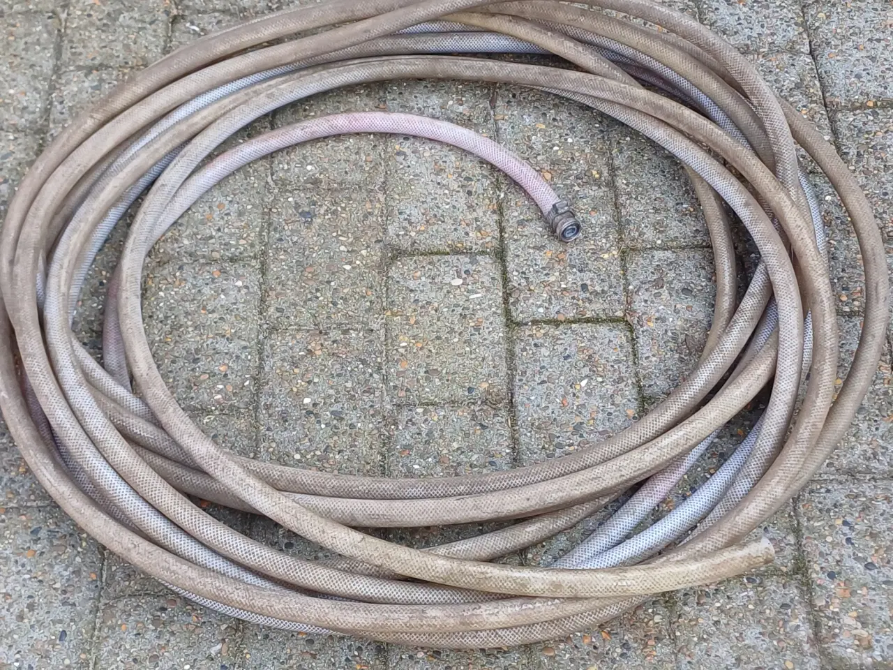 Billede 1 - 3/4 "24 m Haveslange